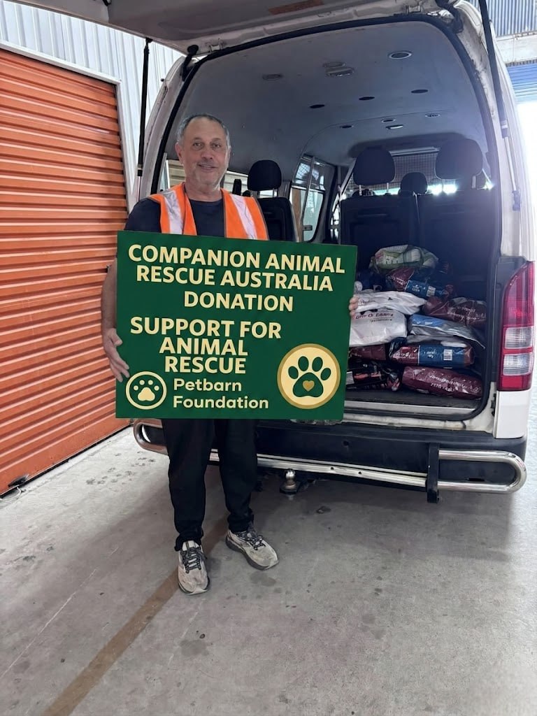 A companion animal receiving care