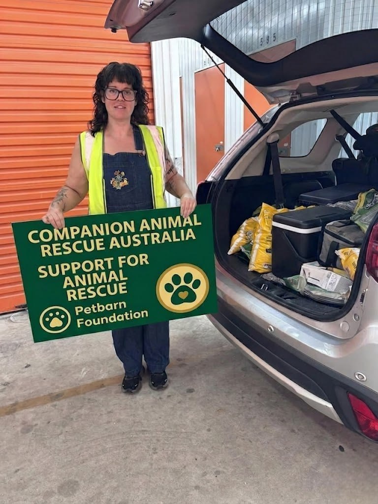 A rescued animal in safe care