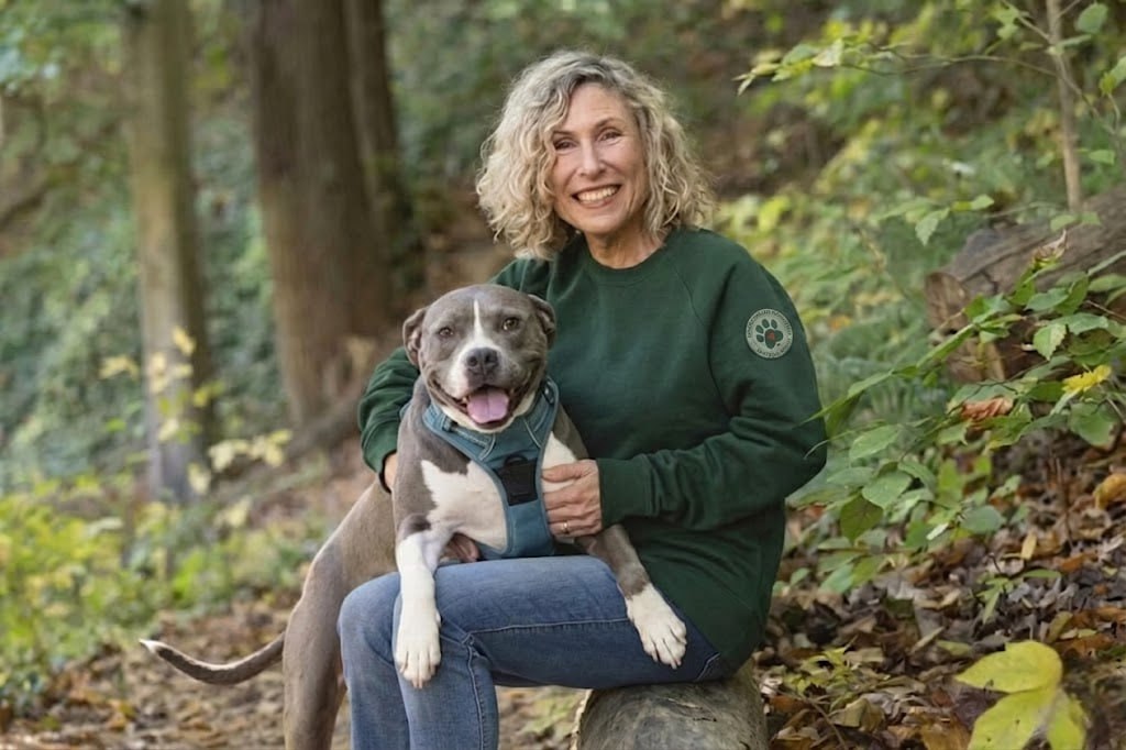 A rescued companion animal in care
